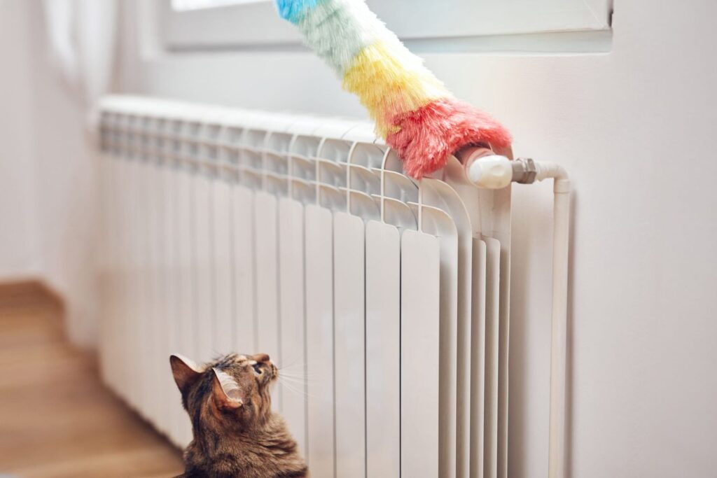 new central Heating 